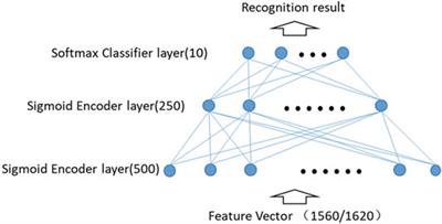 Audio Information Camouflage Detection for Social Networks